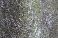 Barran fibreglass roof work